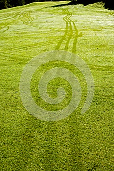 Morning dew on golf grass