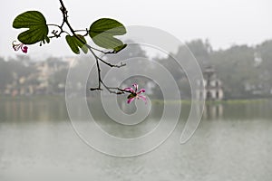 The morning dew in Ho Guom lake in Ha Noi Viet Nam