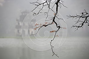 The morning dew in Ho Guom lake in Ha Noi Viet Nam