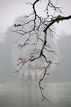 The morning dew in Ho Guom lake in Ha Noi Viet Nam