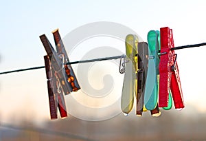 Multicolored hooks for laundry, sprinkled with morning dew