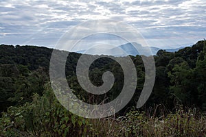 Morning at Doi Inthanon, Chiangmai, Thailand