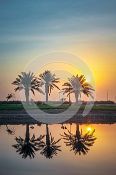 Morning drama sunrise view in Modon lake Dammam Saudi Arabia photo