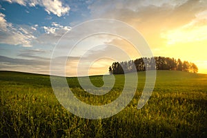 Morning in the fields of Udmurtia