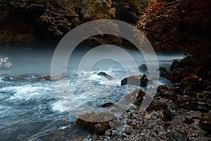 Morning fog above Mountain river in the middle of green forest