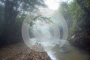 Morning fog above Mountain river in the middle of green forest