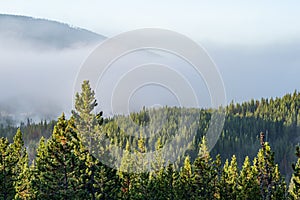 Morning fog above Norris Geyser Basin, Yellowstone National Park, Wyoming