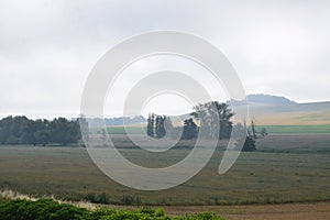 morning fog above the swampland in ThÃ¼rer Wiesen