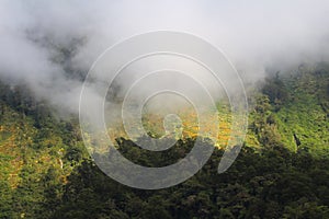 Morning fog along the Doubtful Sound, Fiordland National Park, New Zealand