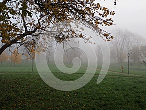 Morning fog in the autumn city Park