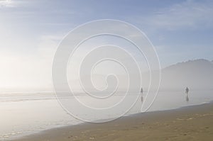 Morning fog on beach