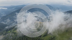 Morning fog on beautiful mountain range. Green forest mist in Alps highlands. Misty fog over spruce