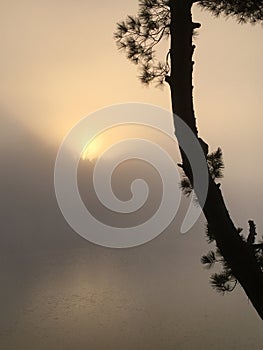 Morning Fog, Big East Lake, Gravenhurst Ontario Canada