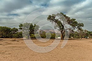 Morning fog at Brandberg Mountain, Damaraland, Namibia