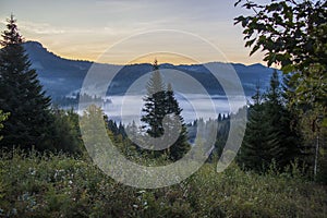 Morning fog in the Carpathians mountains, landscape