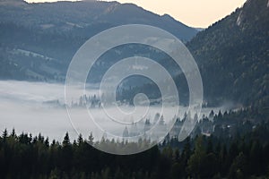 Morning fog in the Carpathians mountains, landscape