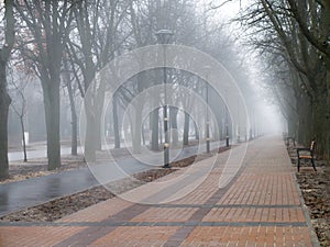 Morning fog in the city alley