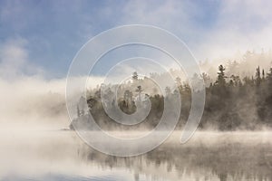 Morning Fog Clearing in the Sun