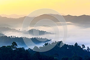 Morning fog in dense tropical rainforest, kaeng krachan, thailand