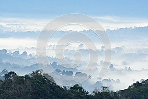 Morning fog in dense tropical rainforest at Khao Yai national park