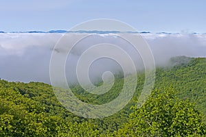 Morning Fog Evaporating in the Sun