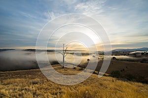 Morning fog in Goulburn River valley in Victoria, Australia