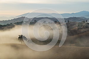 Morning fog in Goulburn River valley in Victoria, Australia