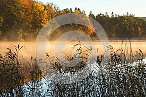 Morning fog by the lake