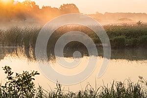 Morning fog on lake in the rays of the rising sun