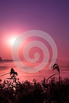 Morning fog on the lake, sunrise shot. Summer or autumn landscape.