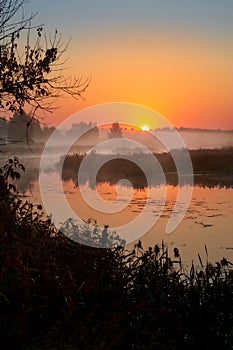 Morning fog on the lake, sunrise shot. Summer or autumn landscape.