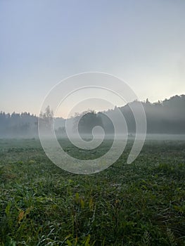 Morning fog on meadow with trees and hills with forest silhouettes