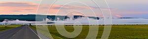 Morning fog mixed with geiser smoke behind a herd of bison