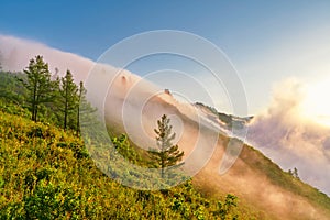 The morning fog on the mountains