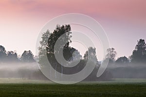 Morning fog on open field