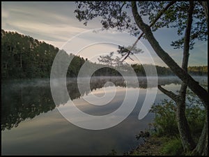 Morning fog over a forest lake