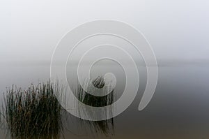 Morning fog over the lake