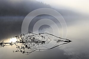 Morning fog over Lake Lajoie