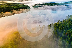 Morning fog over lakes and green forest in autumn. Aerial landscape in countryside