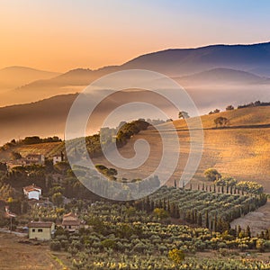 Morning Fog over Tuscany Landscape, Italy