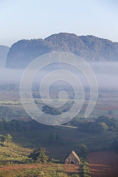 Morning fog over the Valley of Vinales with its big mogotes mountains, Cuba, Caribbean