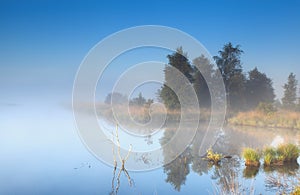 Morning fog over wild lake