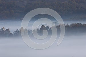 Morning fog over the woods in Transilvania