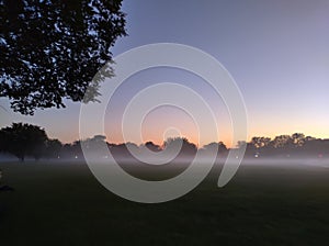 Morning fog at the park sunrise