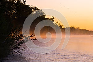 Morning Fog on the Platte River