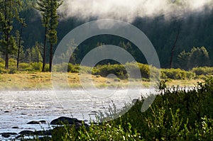 Morning fog on river in northern Mongolia