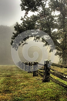 Morning fog on split rail fence