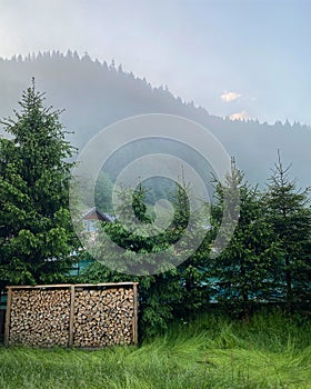Morning fog, view from the mountain, Saticul de Sus, Rucar, Arges county, Romania