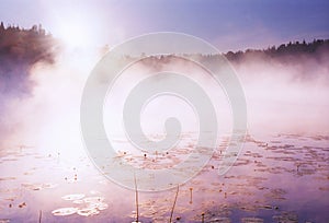 Morning fog on wild forest lake in Karelia photo