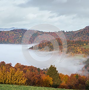 Morning foggy clouds in autumn mountain countryside. Ukraine, Carpathian Mountains, Transcarpathia